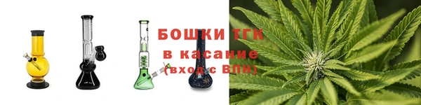 амф Белокуриха