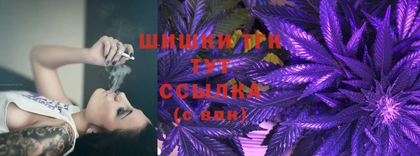 амф Белокуриха