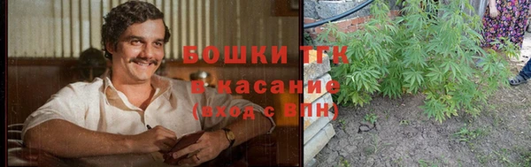 гашик Белоозёрский