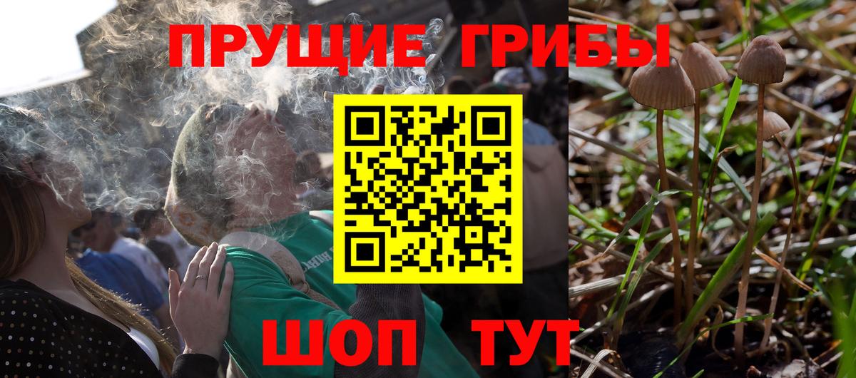 МЕФ  Бутурлиновка  Конопля  Alpha-PVP СК   ЭКСТАЗИ  Меф МЯУ МЯУ   ГАШ  Вход с VPN 