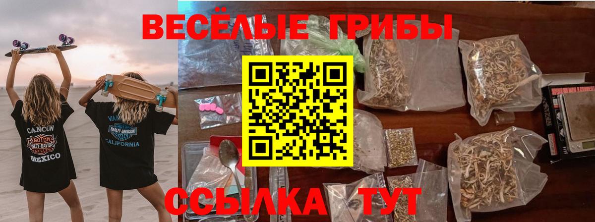 Галлюциногенные грибы GOLDEN TEACHER Бутурлиновка